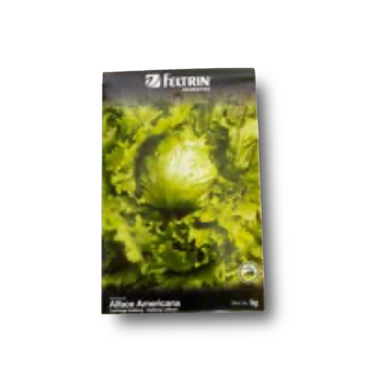 ALFACE AMERICANO 5g Laitue Americain