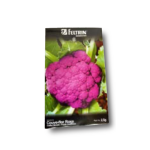 COUVE FLOR ROXA Chou Fleur Violet