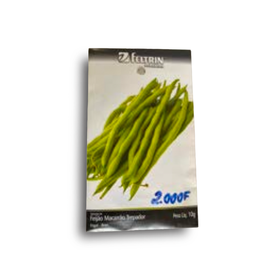 FEiJAO MACARRAO TREPADOR 10g Haricots Macaronis Grimpants