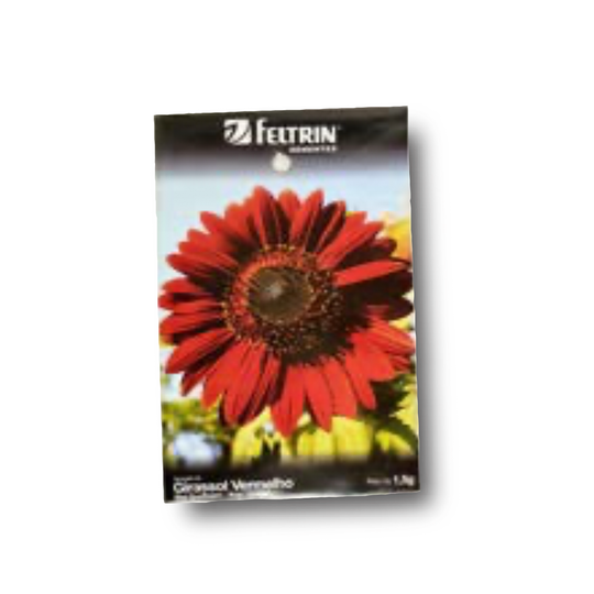 GIRASSOL VERMELHO Tournesol Rouge