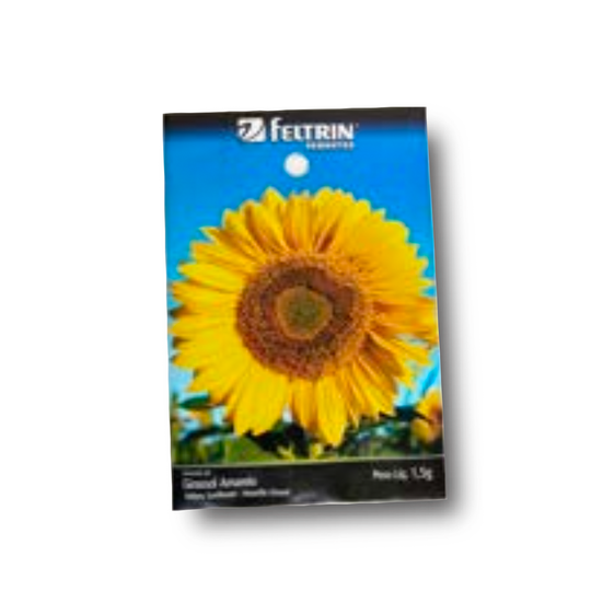 GIRASSOL AMARELO 1,5g Tournesol Jaune