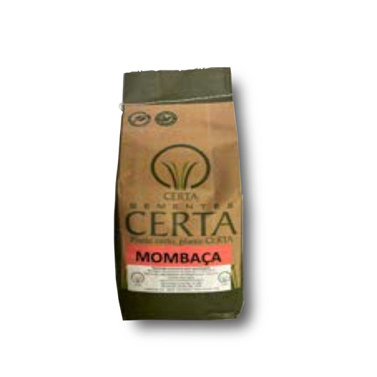 1KG PANICUM MAXIMUM MOMBACA