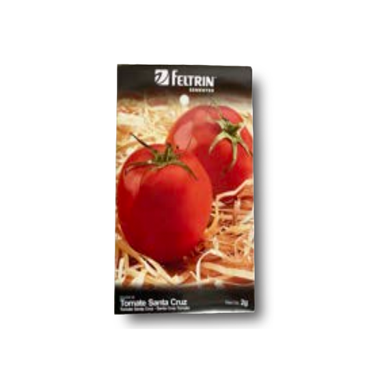 TOMATTE SANTA CRUZ 2g sainte croix